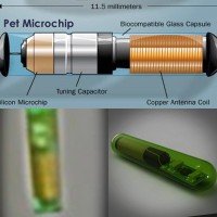 capsule rfid